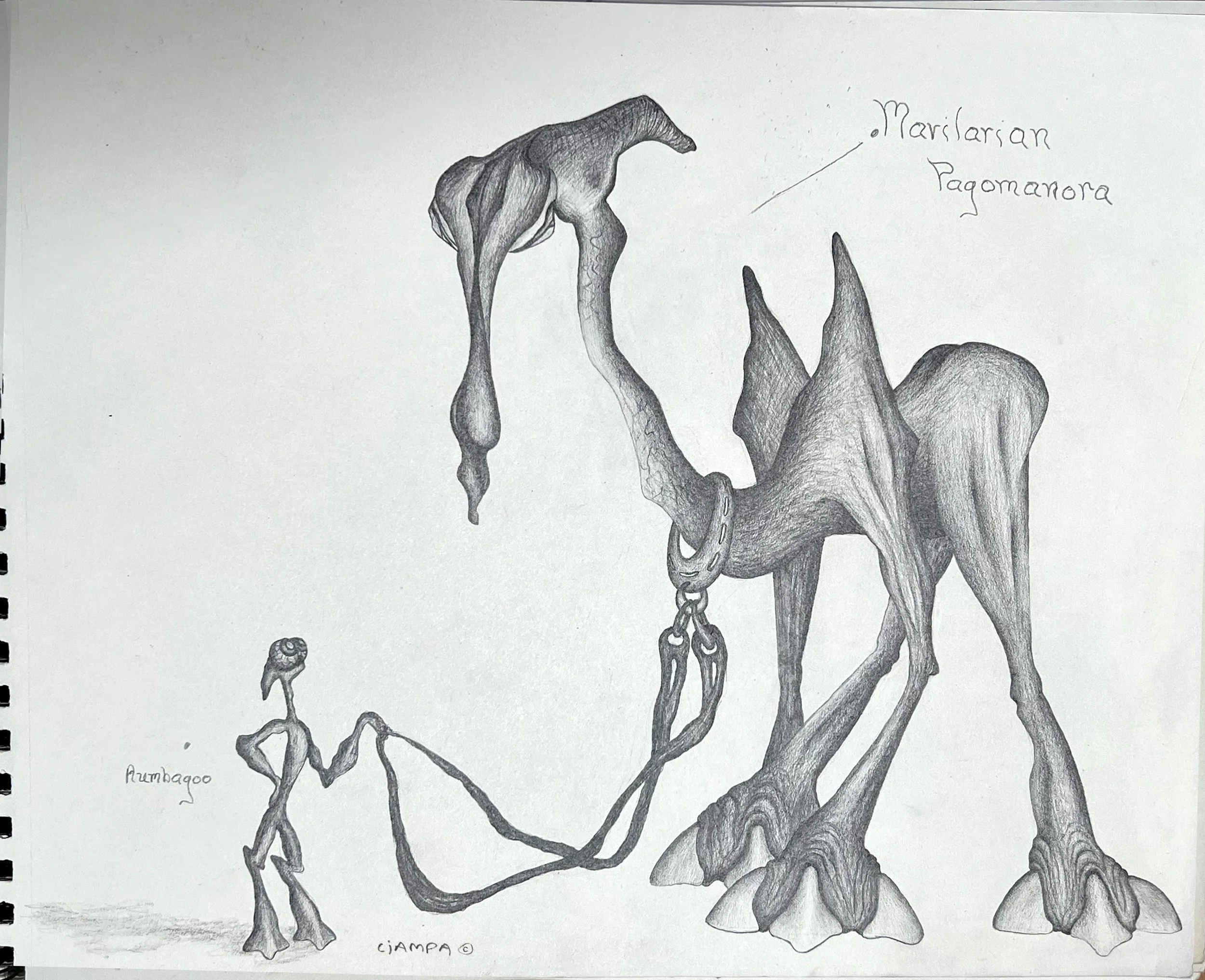 Danny Ciampa  www.oracleodyssey.com IMG_8812a.JPG