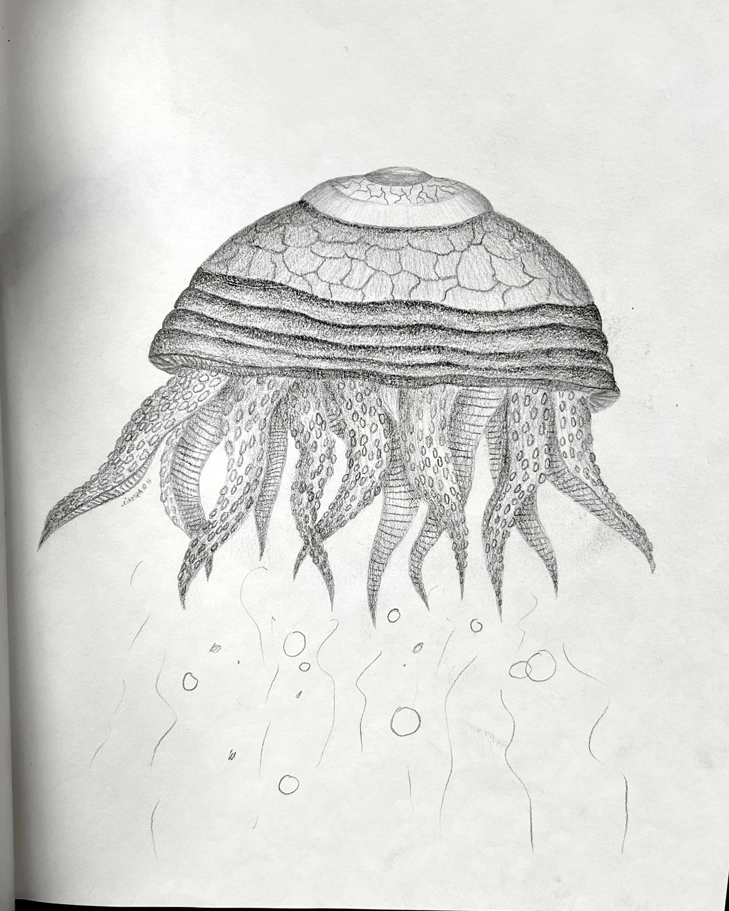 Danny Ciampa  www.oracleodyssey.com IMG_8758c.JPG