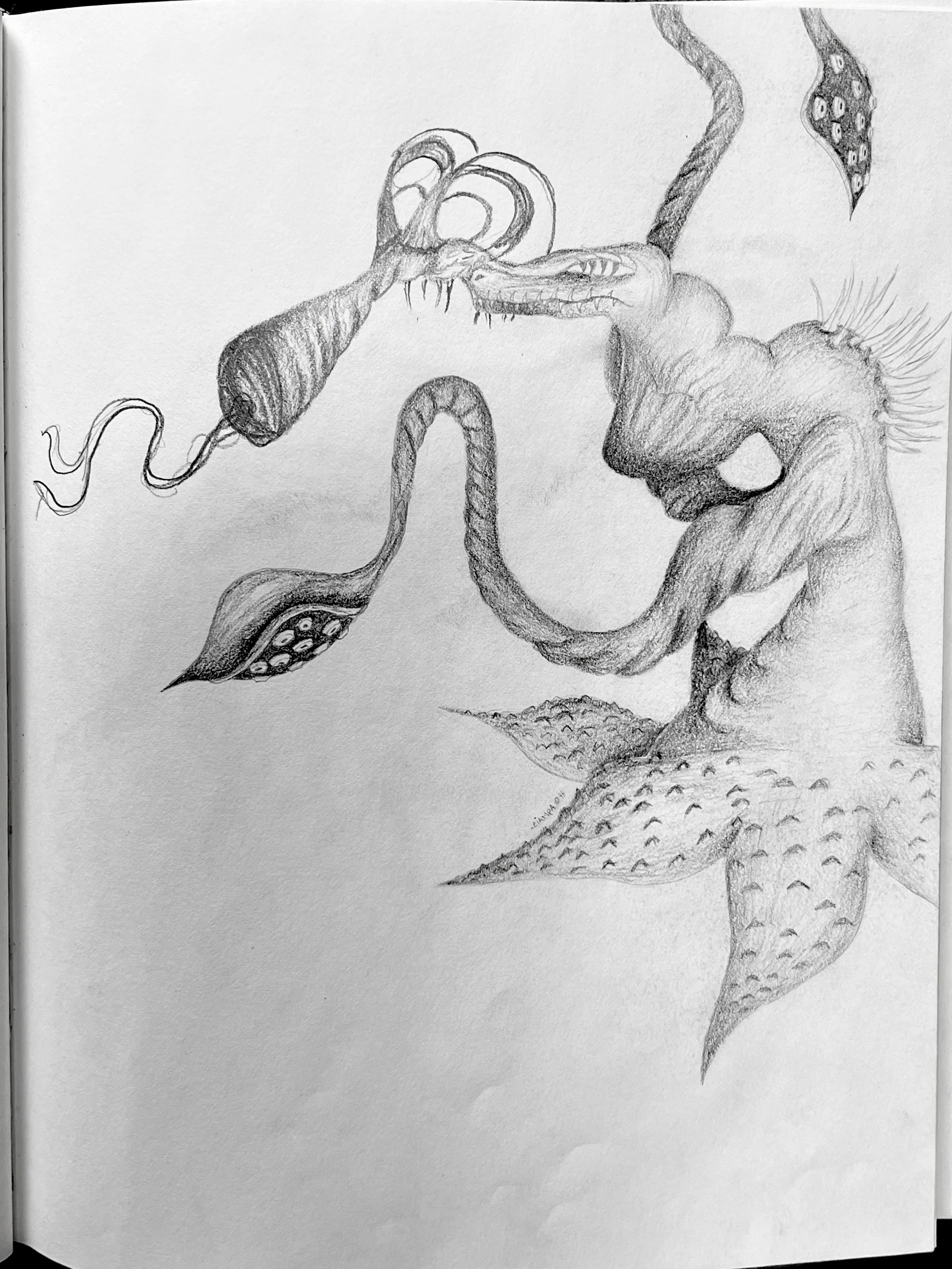 Danny Ciampa  www.oracleodyssey.com IMG_8758bba.JPG