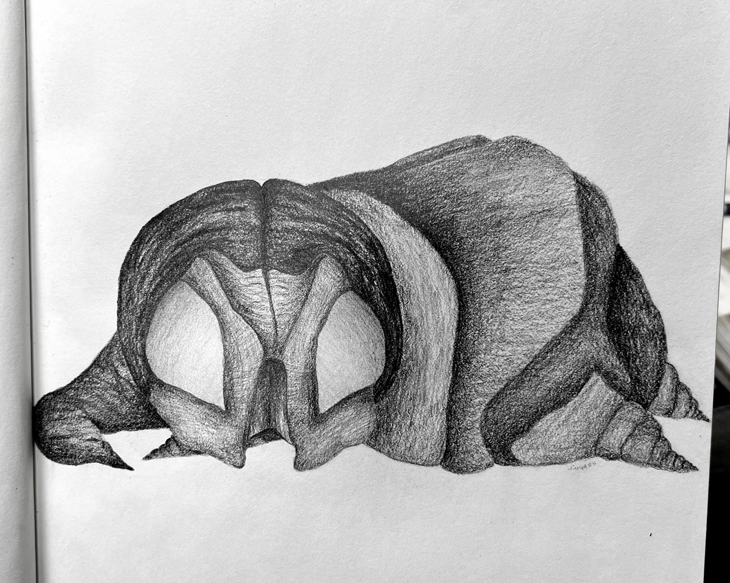 Danny Ciampa  www.oracleodyssey.com IMG_8758d.JPG