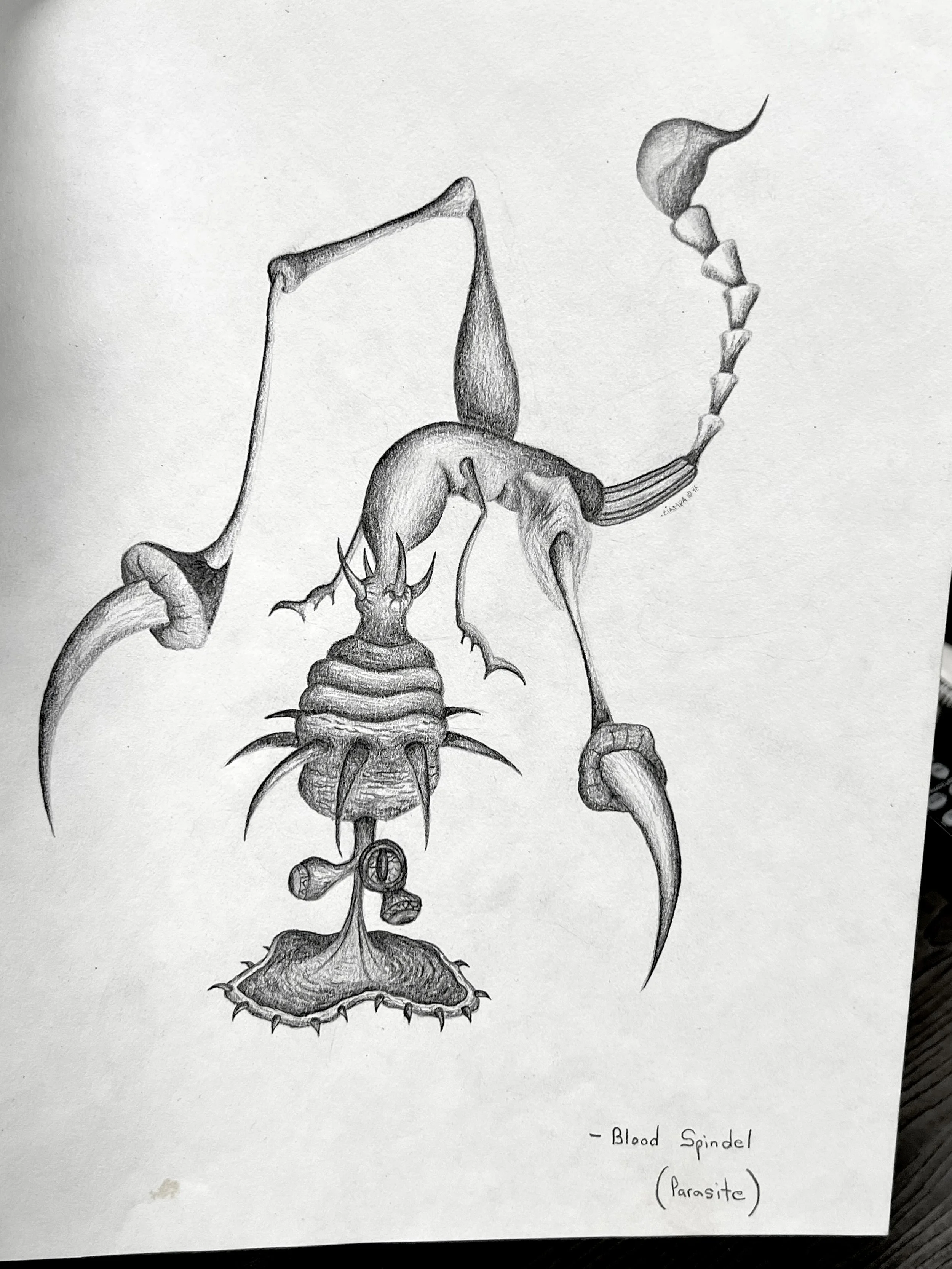 Danny Ciampa  www.oracleodyssey.com IMG_8758bbb.JPG