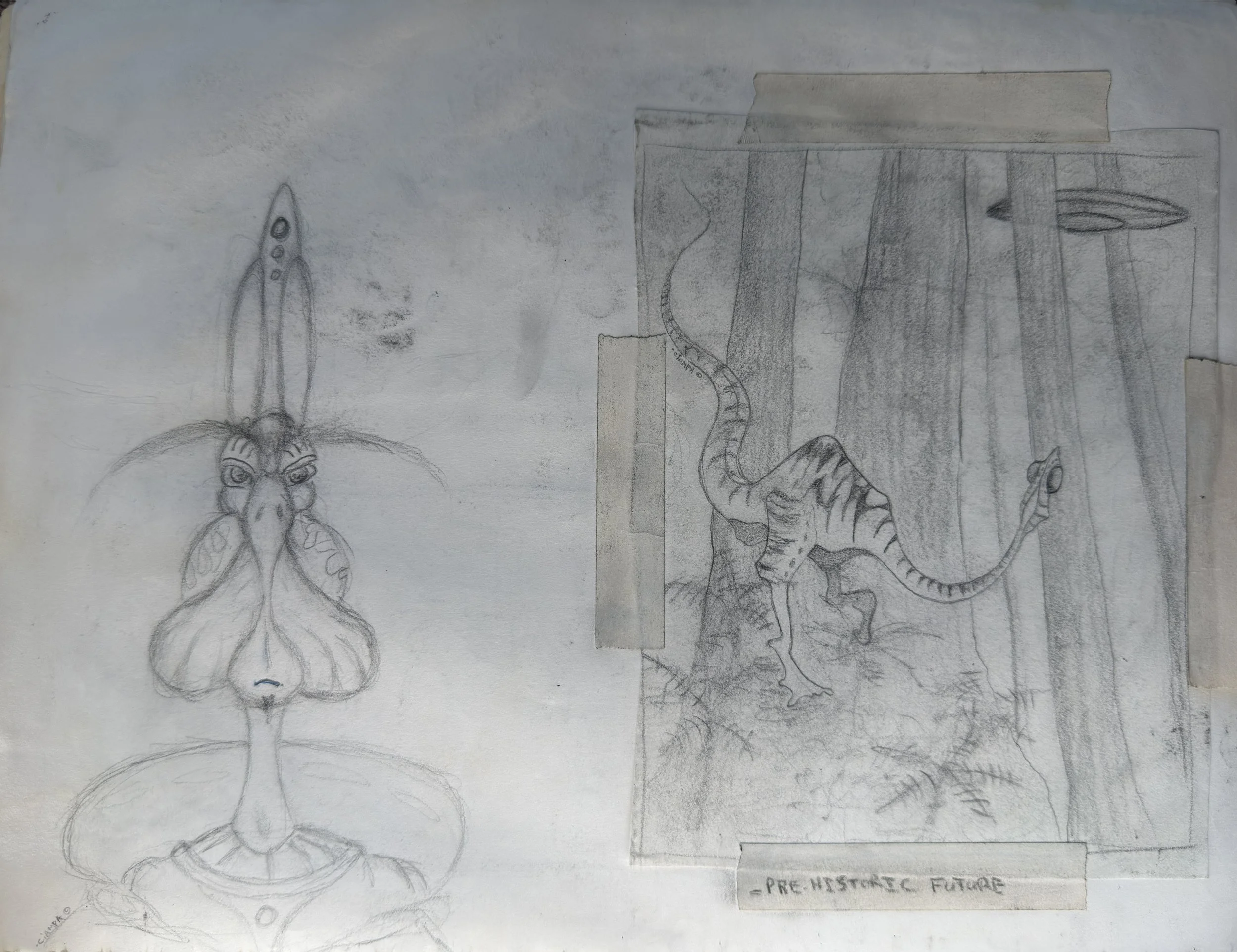 Danny Ciampa  www.oracleodyssey.com  IMG_5904.jpg