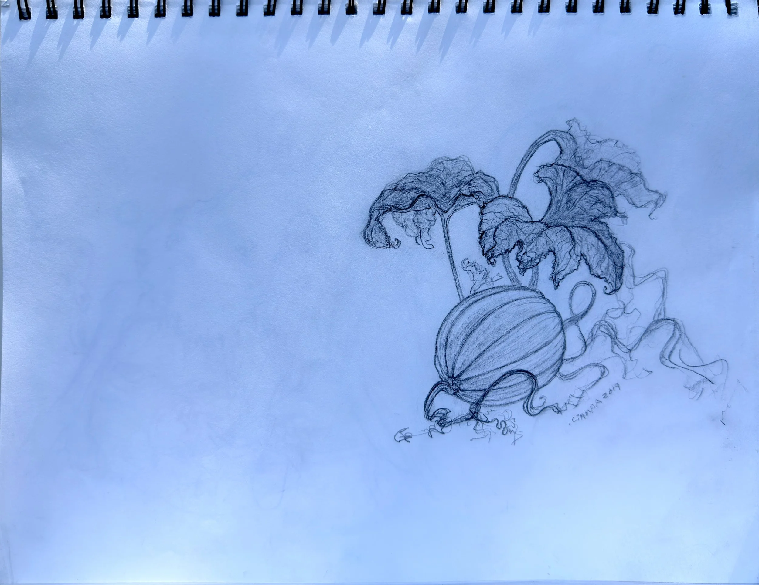 Danny Ciampa  www.oracleodyssey.com  IMG_6043.jpg