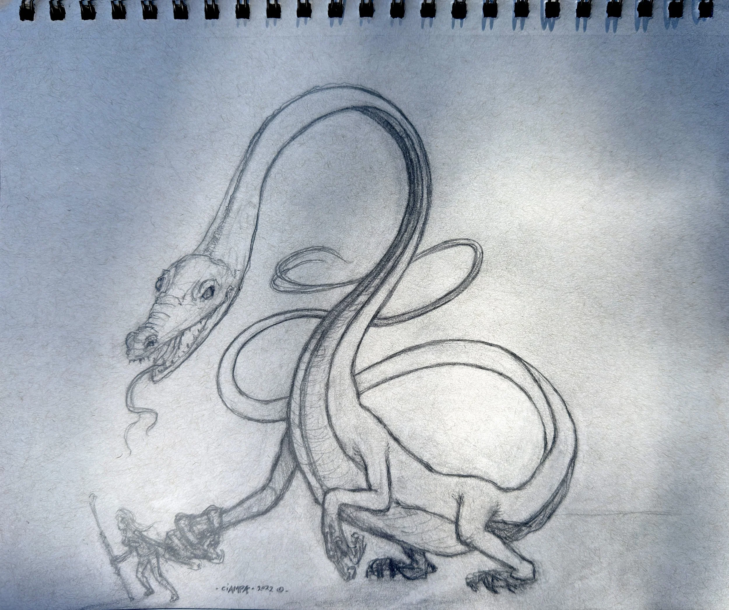 Danny Ciampa  www.oracleodyssey.com  IMG_6133.jpg