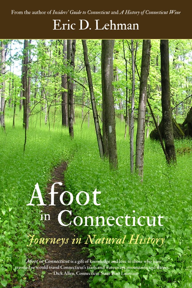 Afoot in Connecticut Cover.jpg