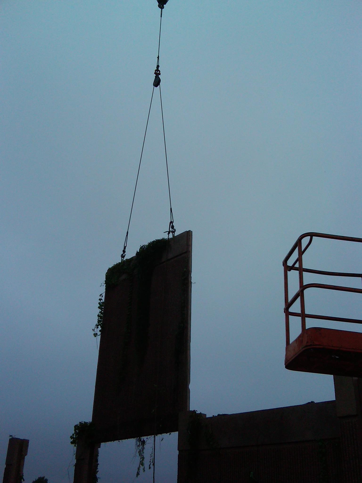 IMG00029-20110624-1231.jpg