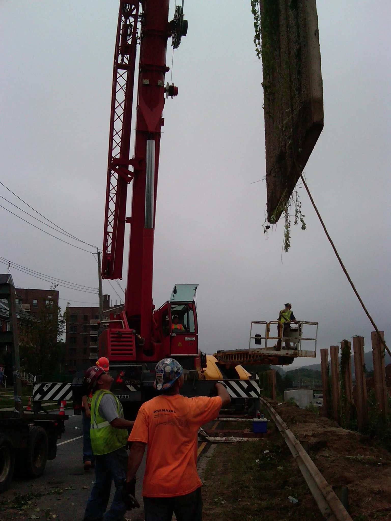 IMG00031-20110624-1232.jpg