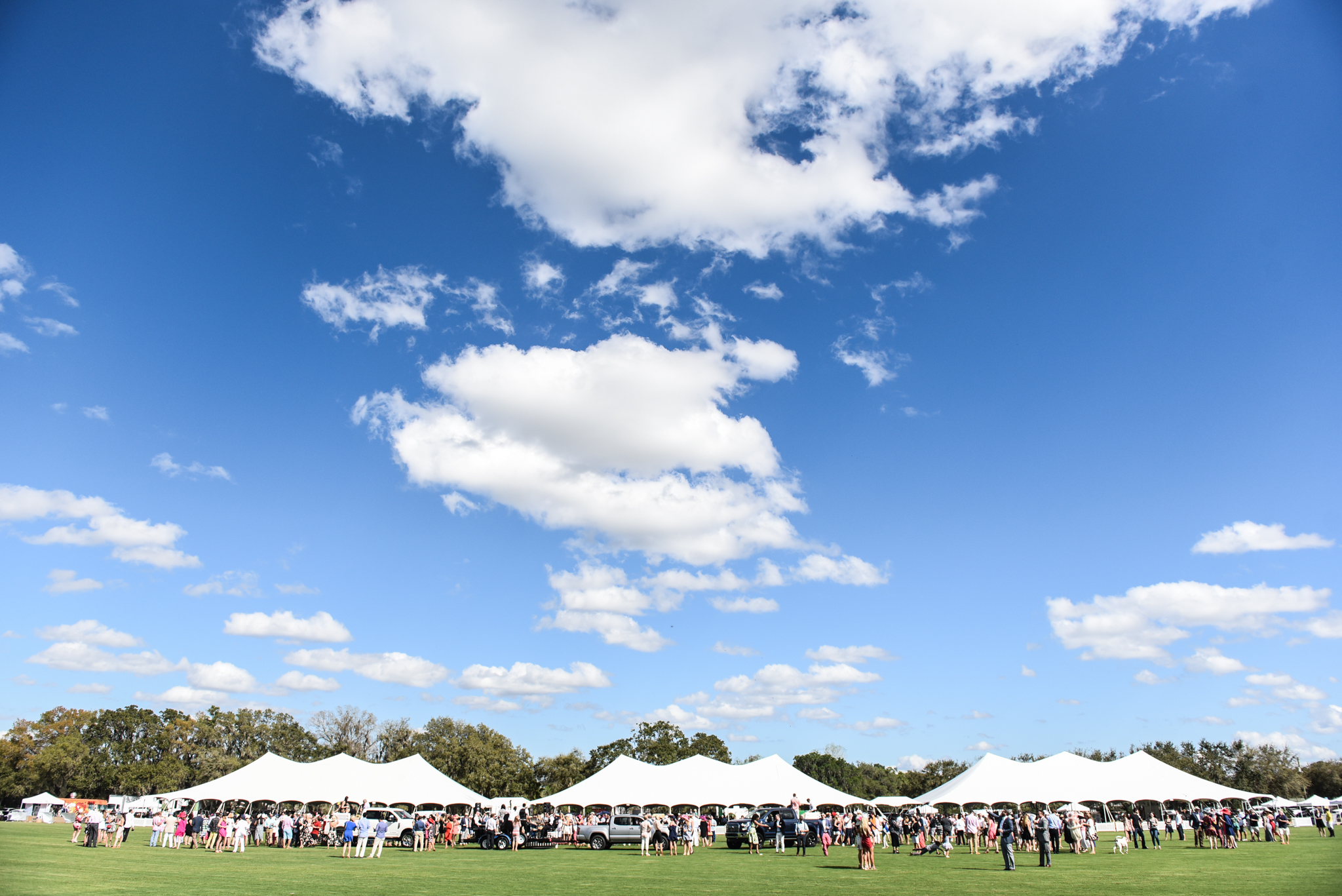 CharityPoloClassic2017-event-81.jpg