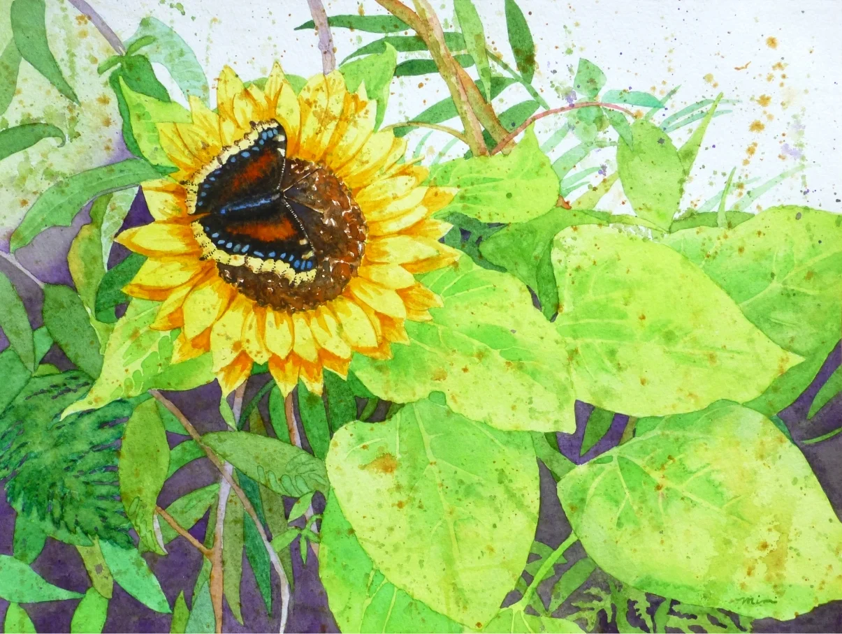 Dark Sunflower