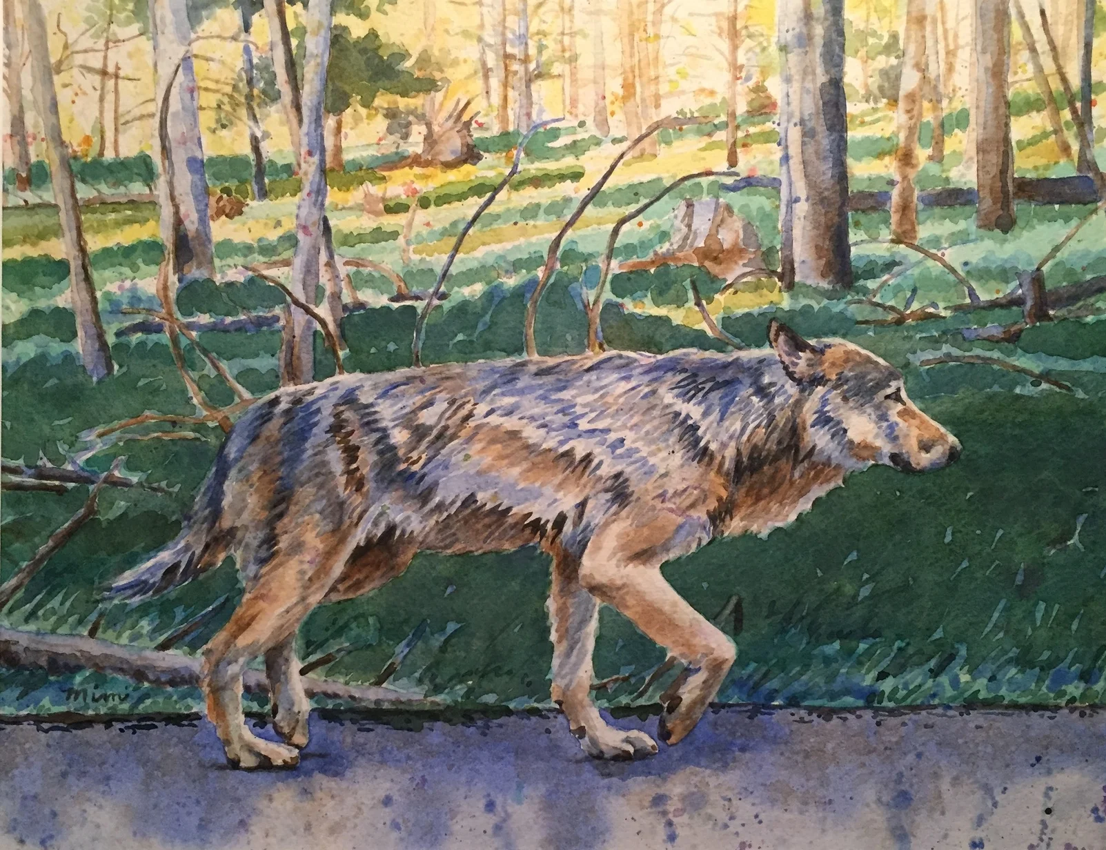 Wandering in the West