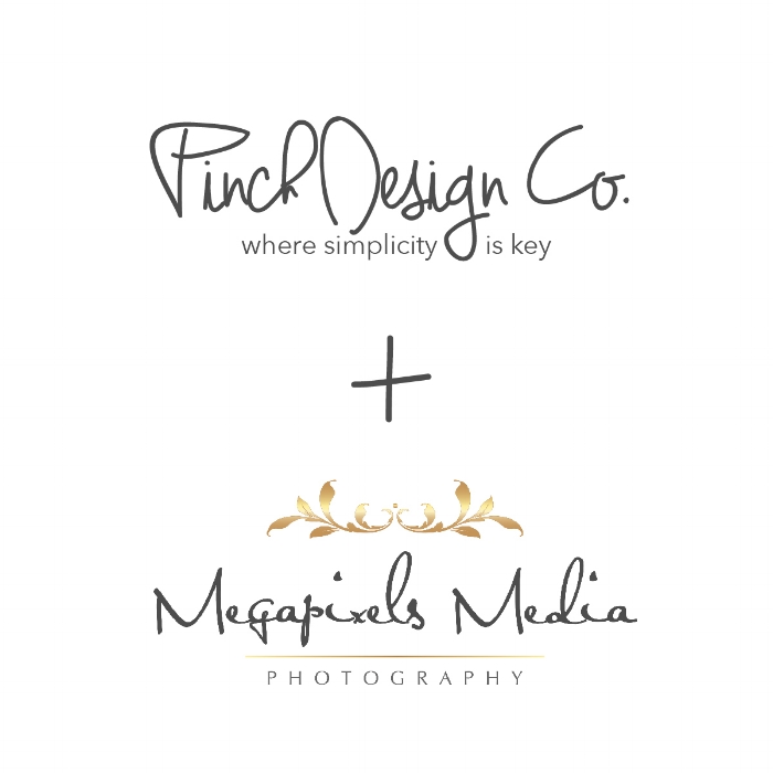 megapixels-01.jpg