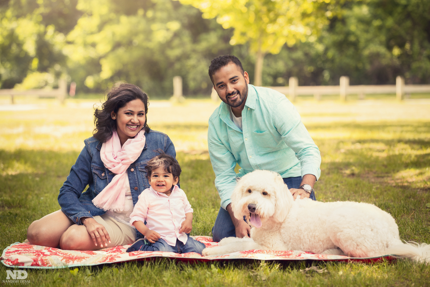 Boston Family portraits