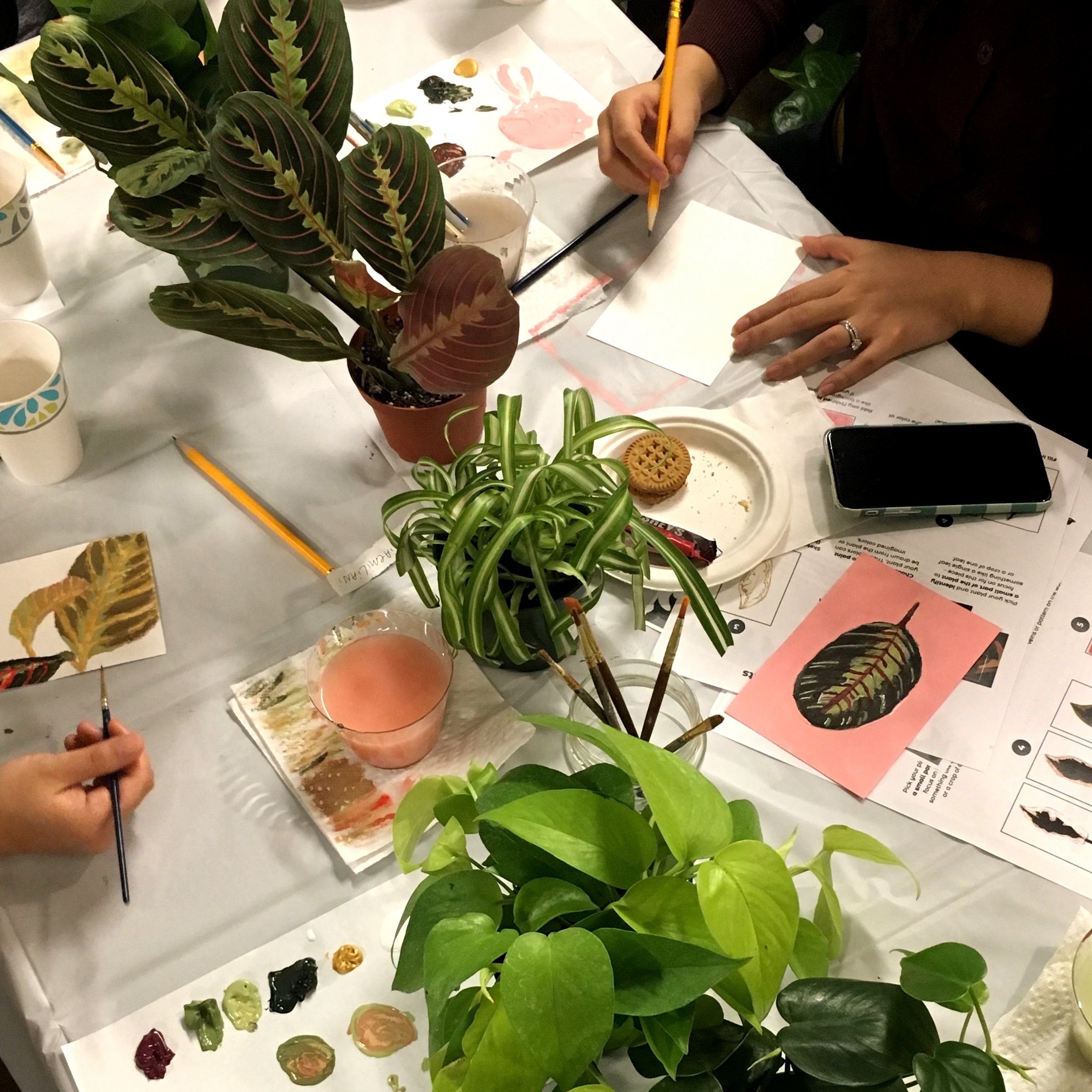 2019_Niche Plant painting workshop_03 1-1.jpeg