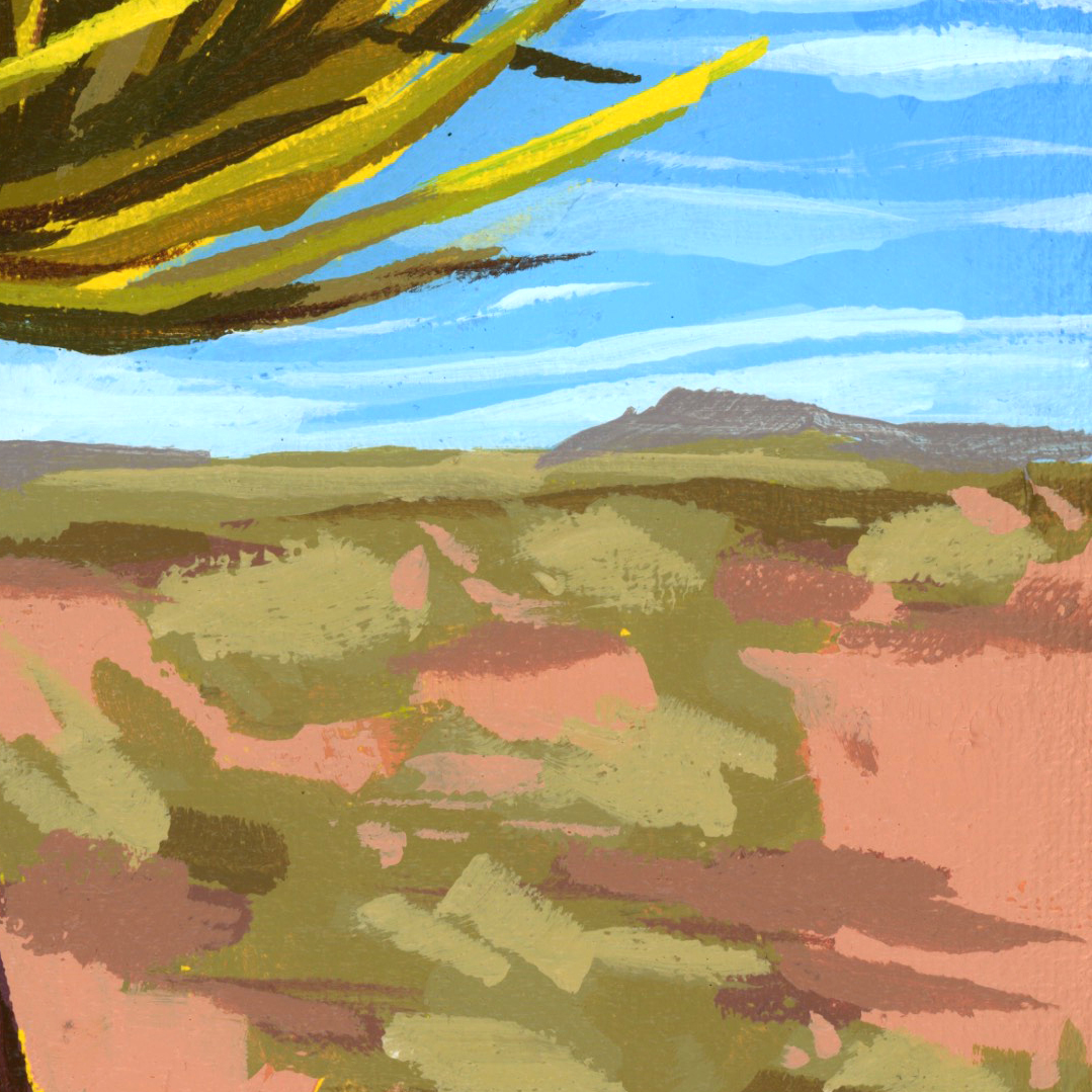 Mojave Yucca_juliaemiliani_painting_web-detail-04.png