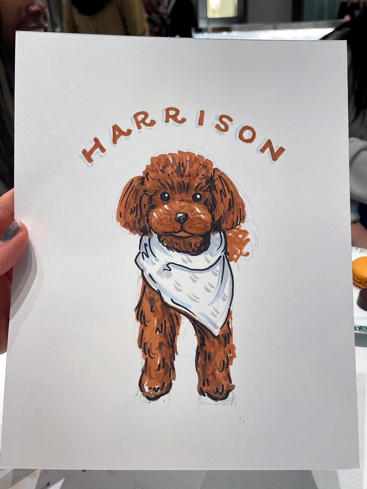 1_name_hand drawn pet portrait-dog.jpeg