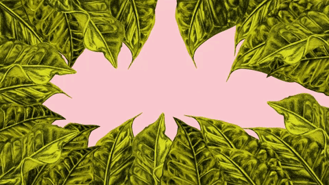 flowers and leaves 2.gif