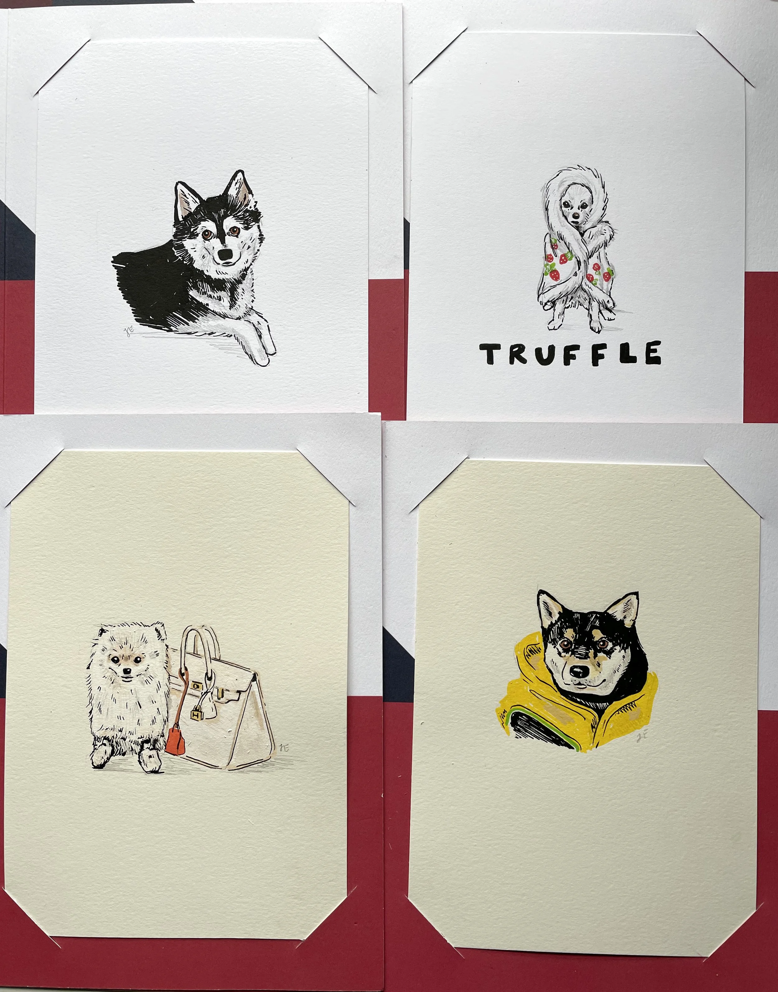 hermes pet portrait illustration_06.jpeg
