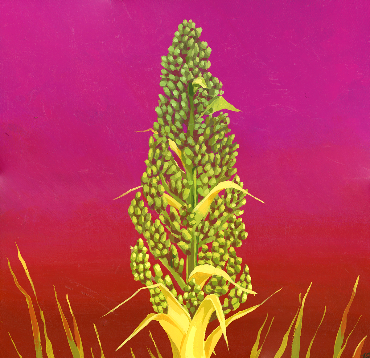 Pink Nolina painting julia emiliani_web.png