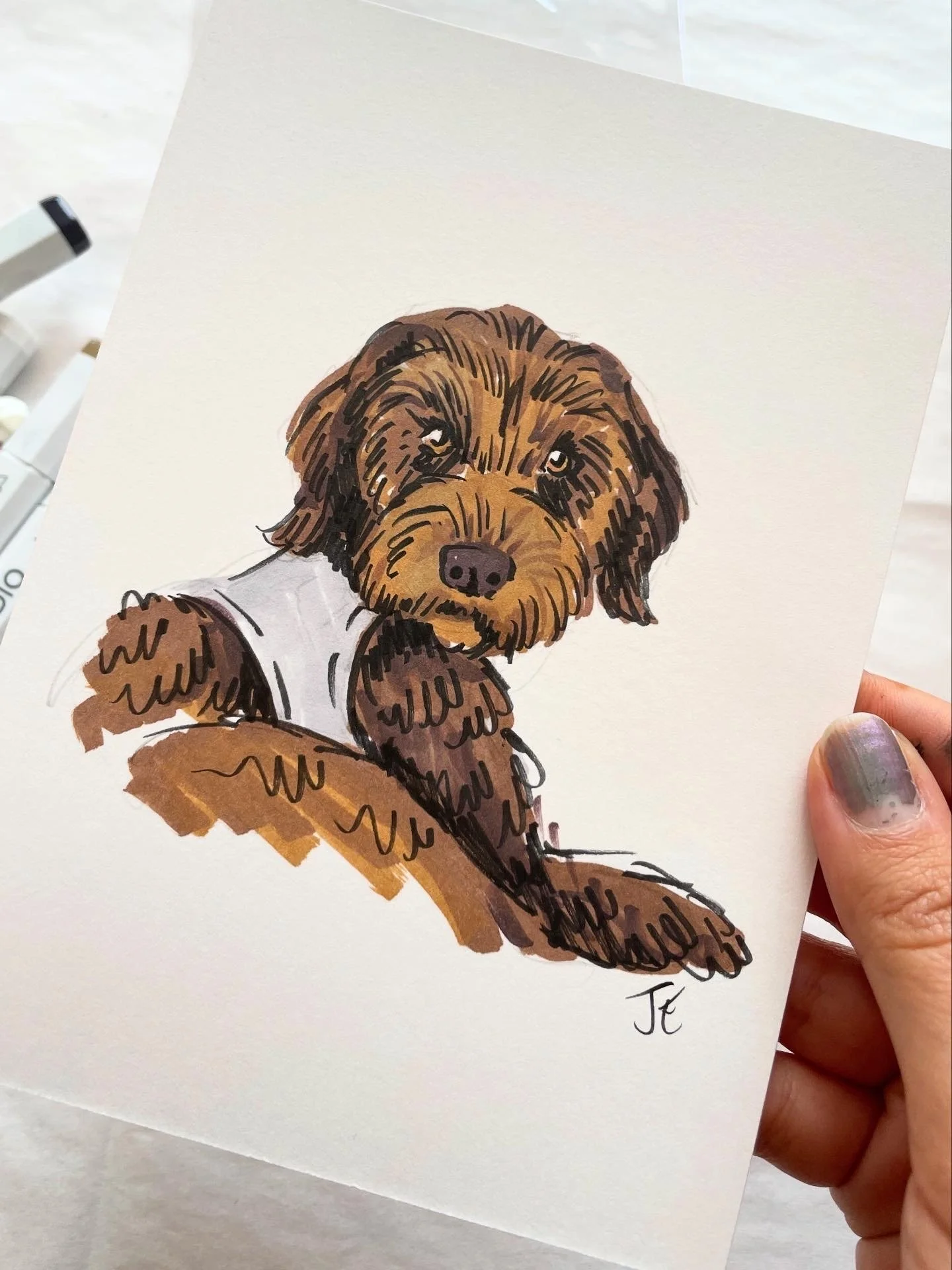Custom Hand Drawn Pet Portrait