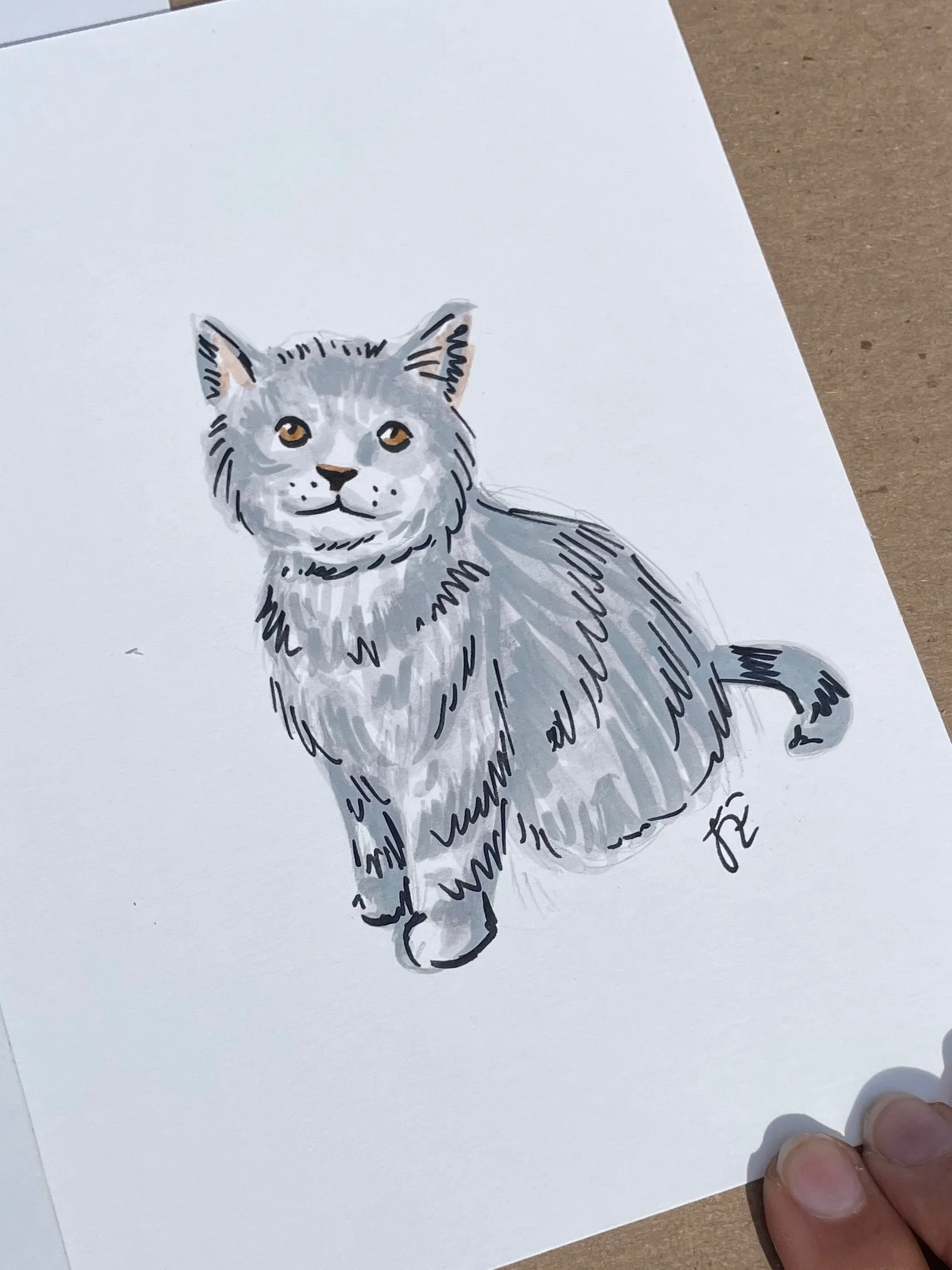 1_hand drawn pet portrait_cat2.jpg