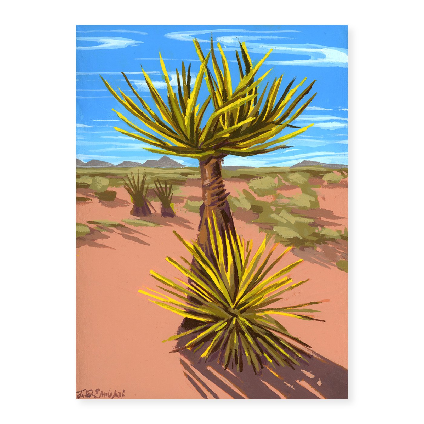 mojave yucca 1x1.jpg