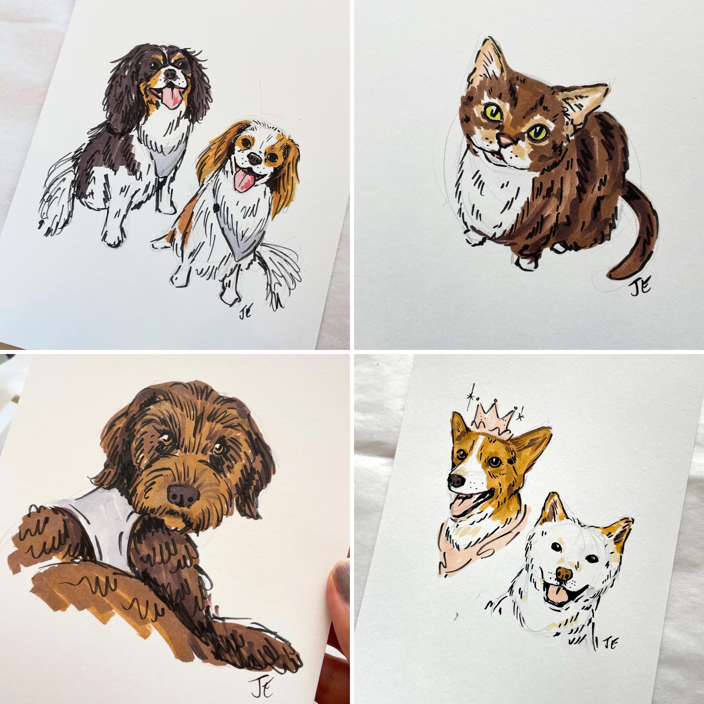 live illustration pet portraits julia emiliani.png