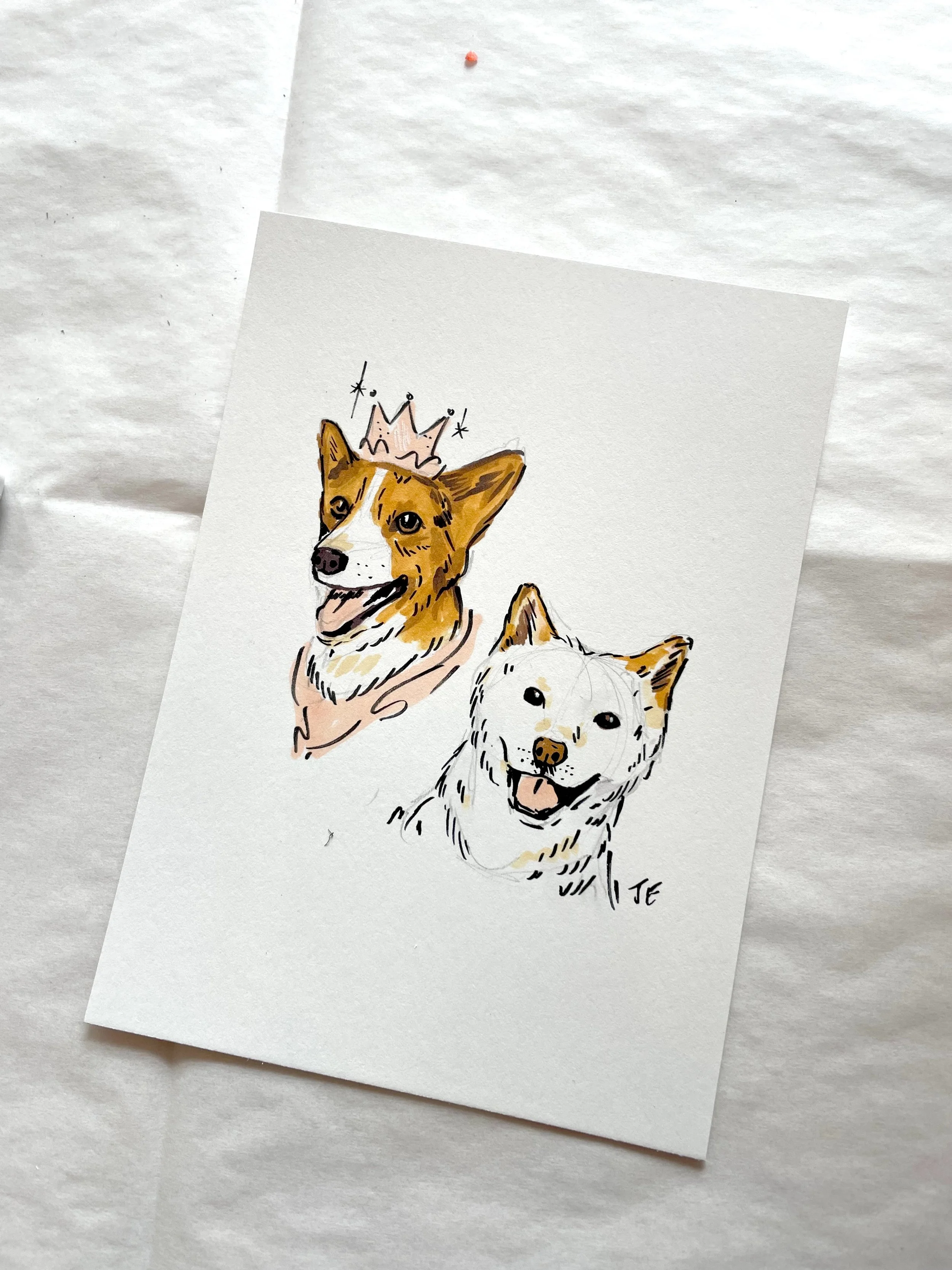 2_hand drawn pet portrait_dogs_portrait.jpeg