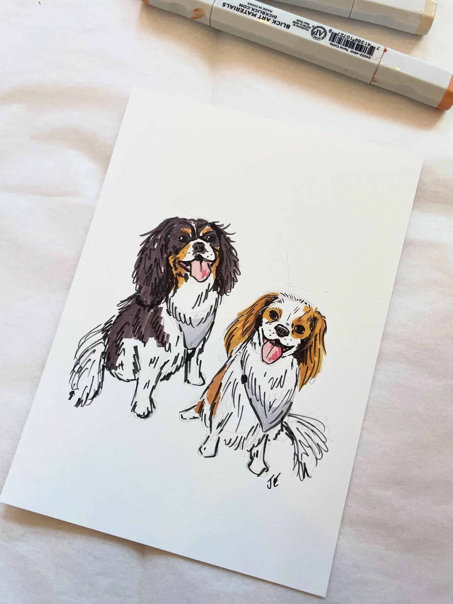 2_Hand drawn pet portrait_dogs_fullbody.jpeg