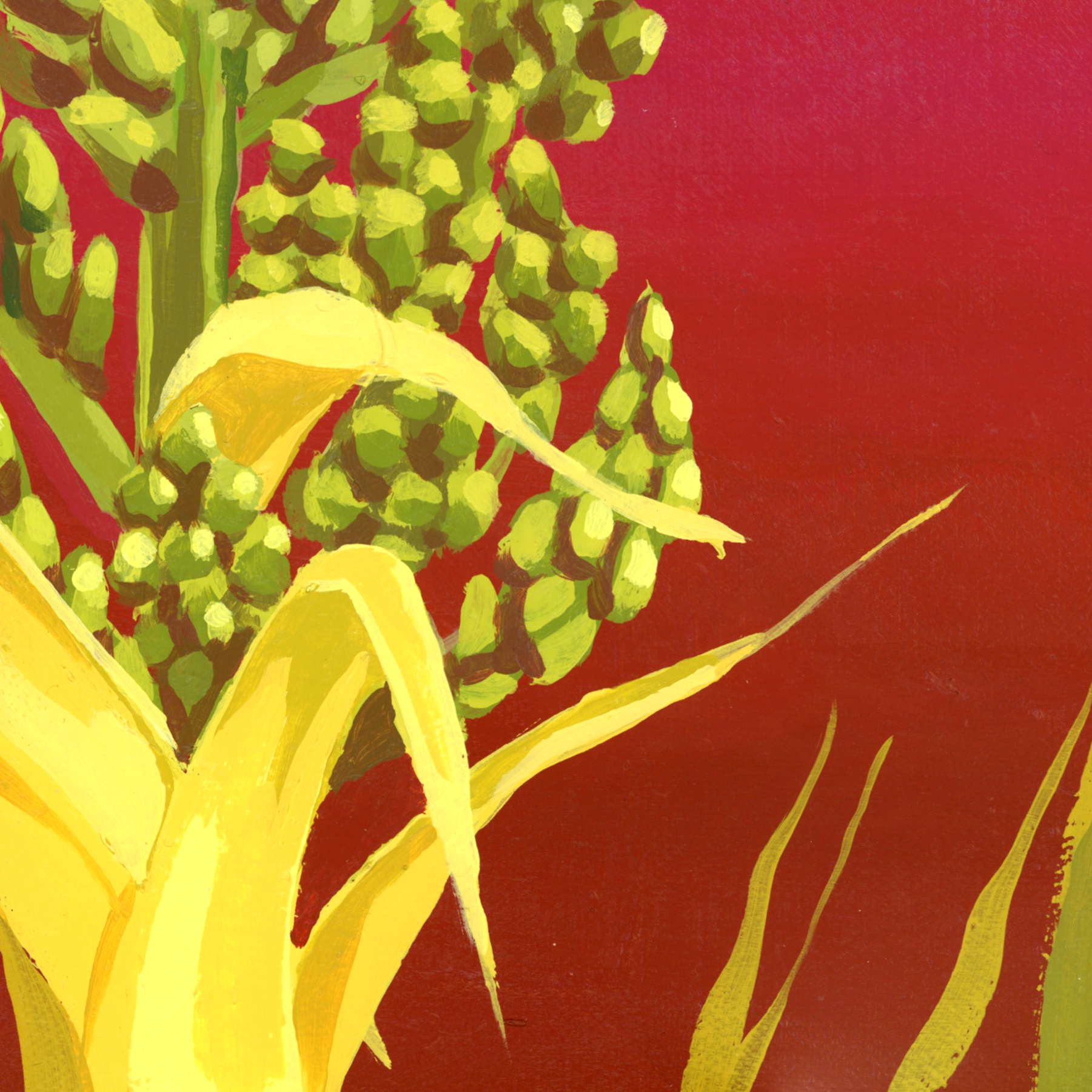 Pink Nolina_painting_detail-03.png