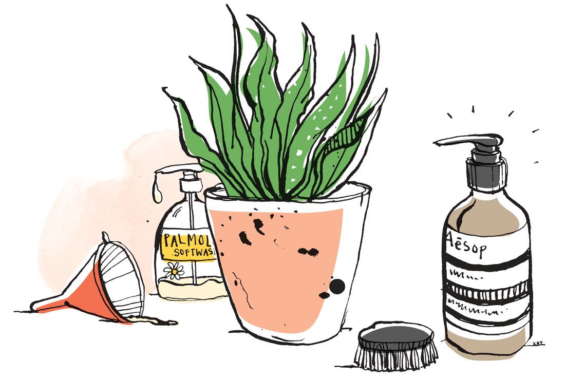 The Design Files: Monthly Musings (with Meg Mason)