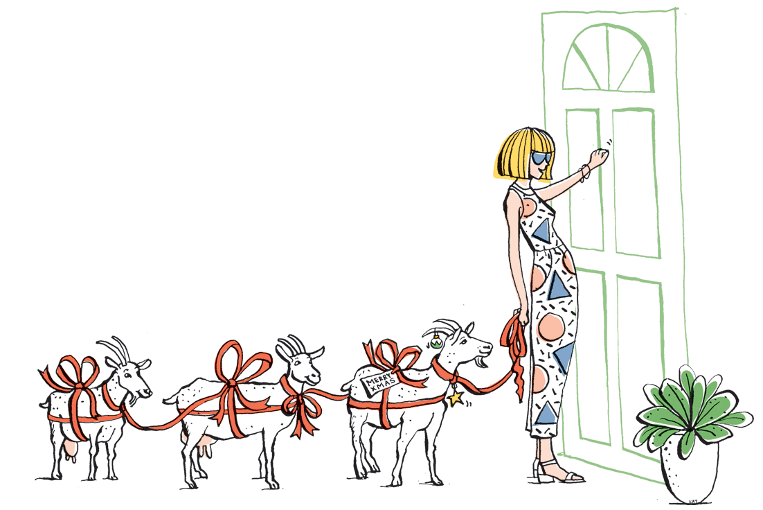 InsideOut magazine: Charity gifts — oxfam goats