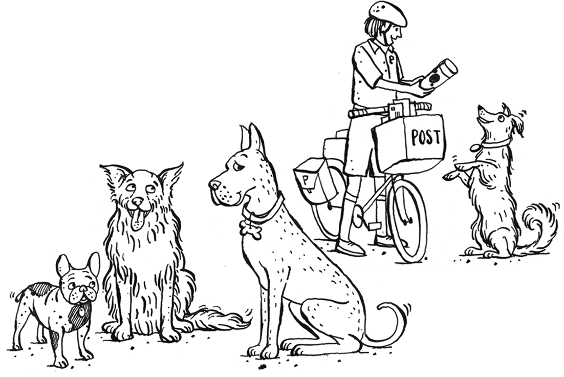 Raphie's pupliments: illustrations for a pet vitamin website