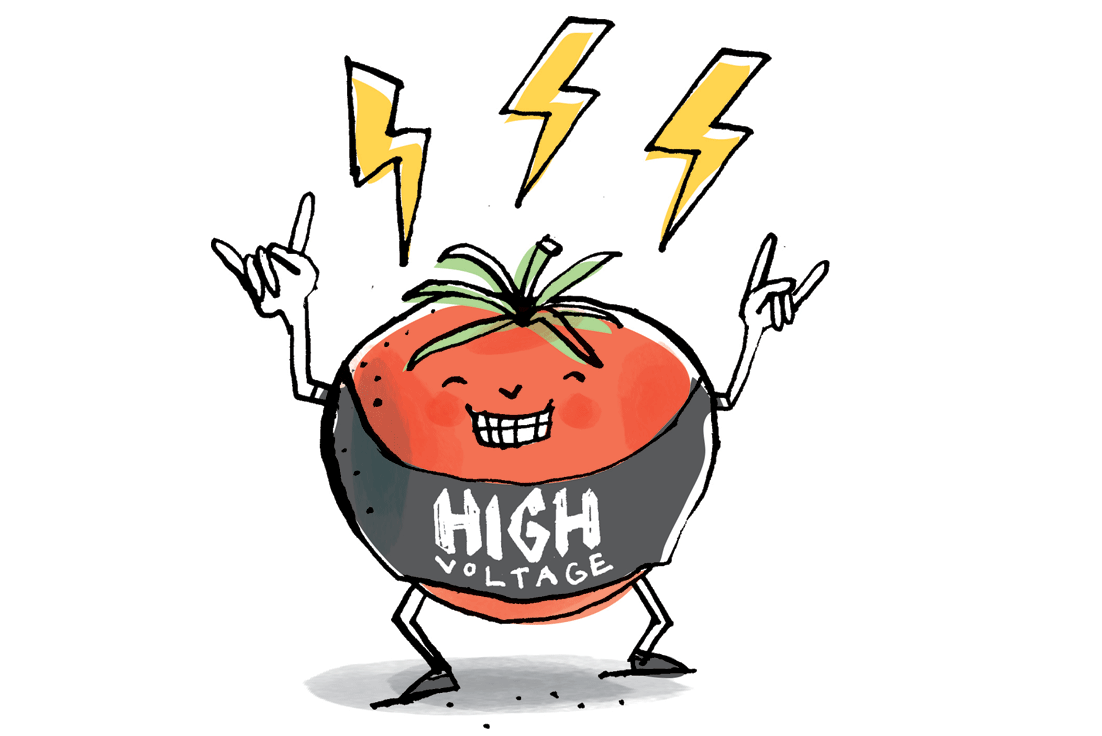 Taste magazine: news article about using tomato waste to generate power