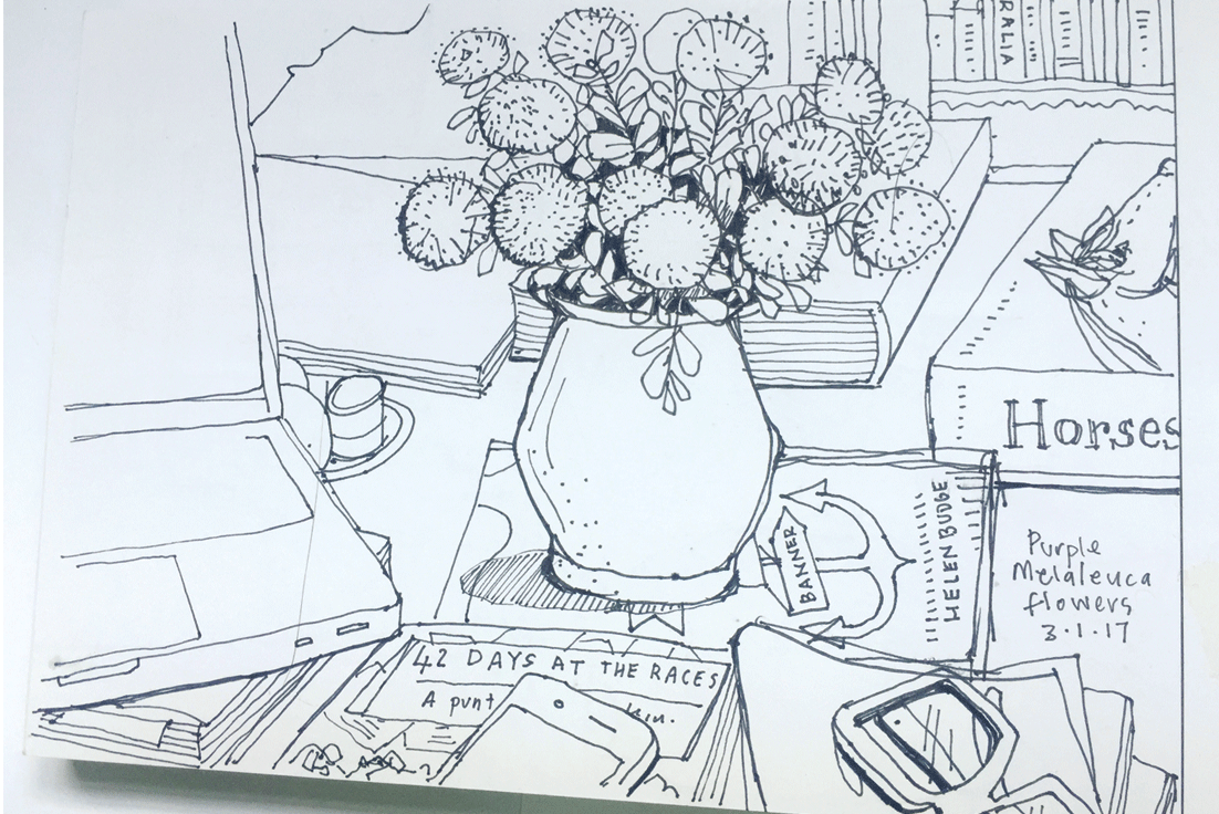 Helen's Melaleuca: Perth summer 2016-17