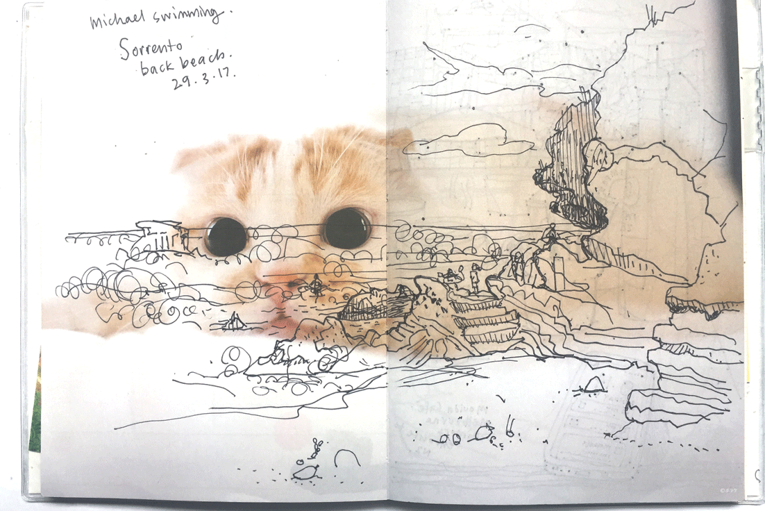 Sorrento beach: cat diary