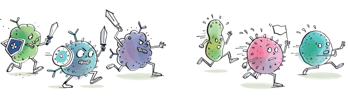 Taste magazine: bad immune cells attacking healthy cells