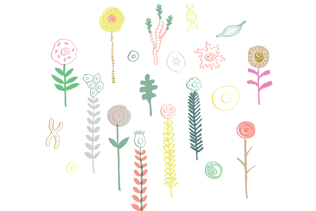 Brunswick Family Osteopathy: mural design - a forest of human cells