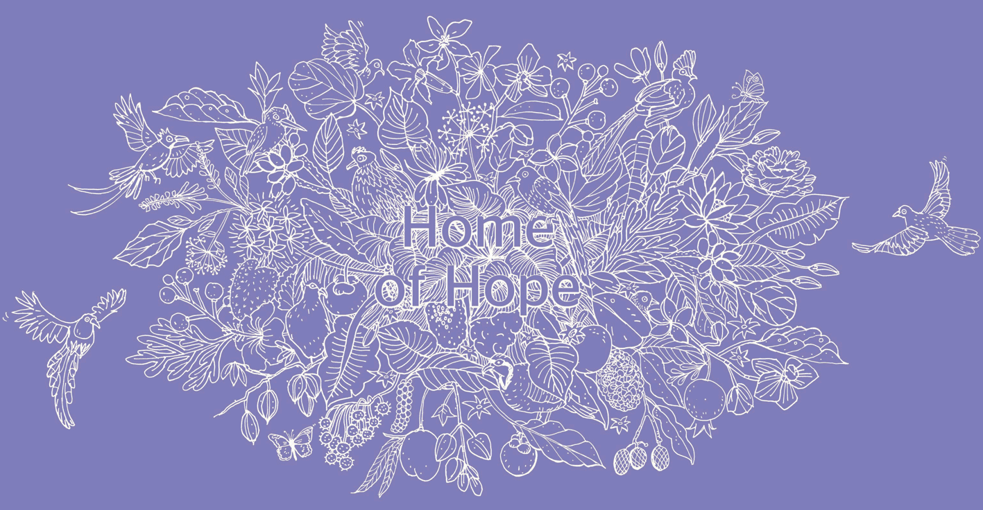 Asylum Seeker Resource Centre: Home of Hope wall illustration - assorted birds, fruits + flowers from Australia's Asylum Seekers' countries of origin