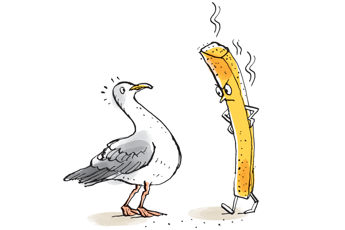 Taste magazine: recent findings have proven that staring at seagulls reduces the likelyhood of them snatching your chips!