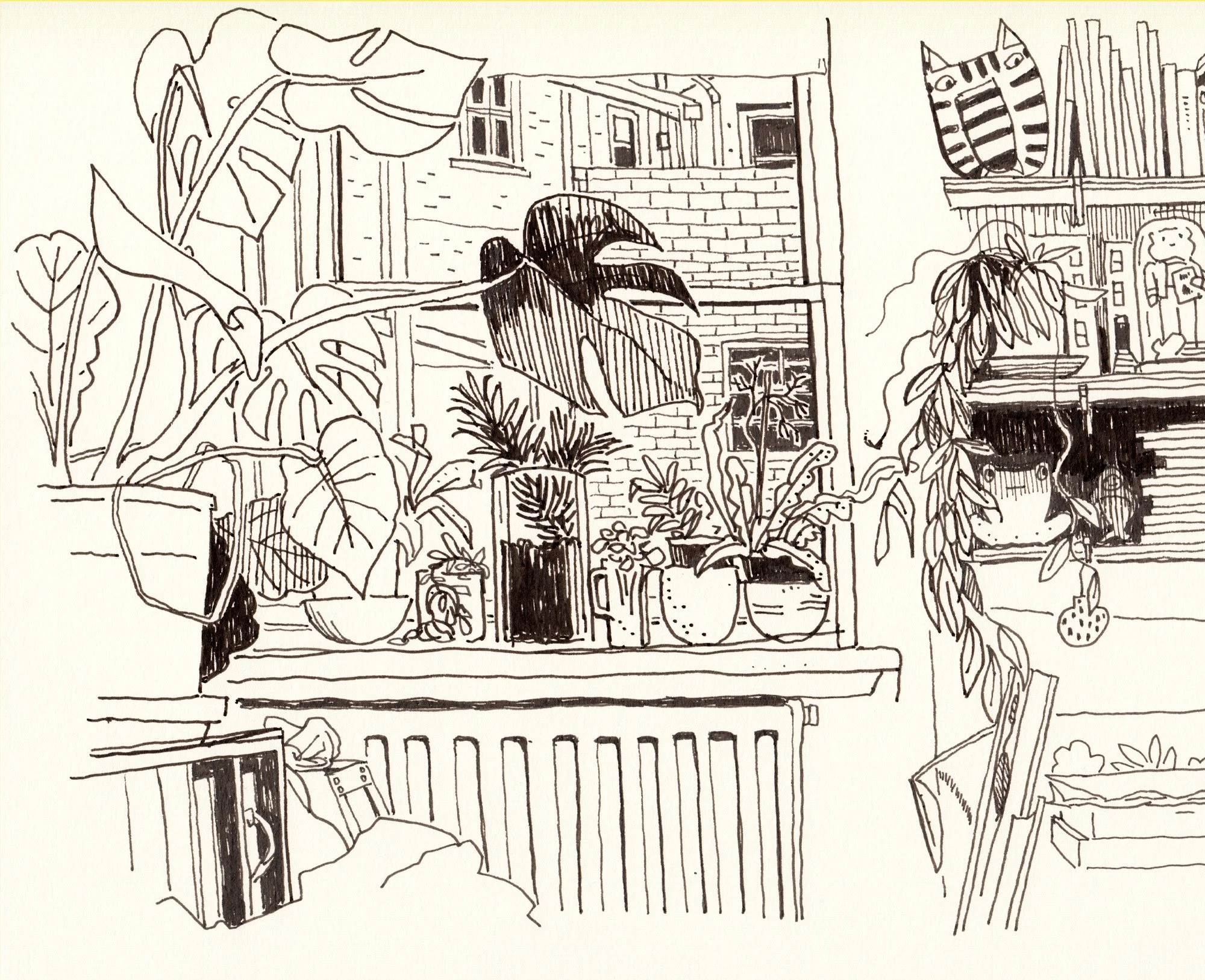 Sketch_studio window.jpg