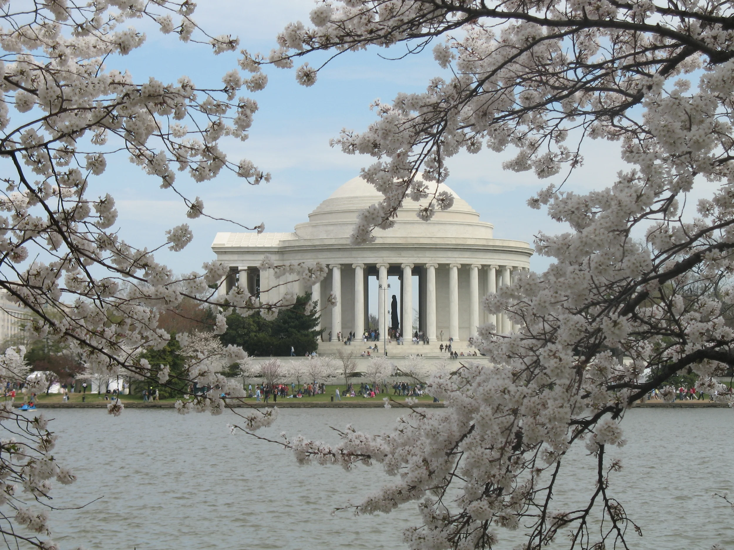 Cherry Blossom Festival in Washington, DC