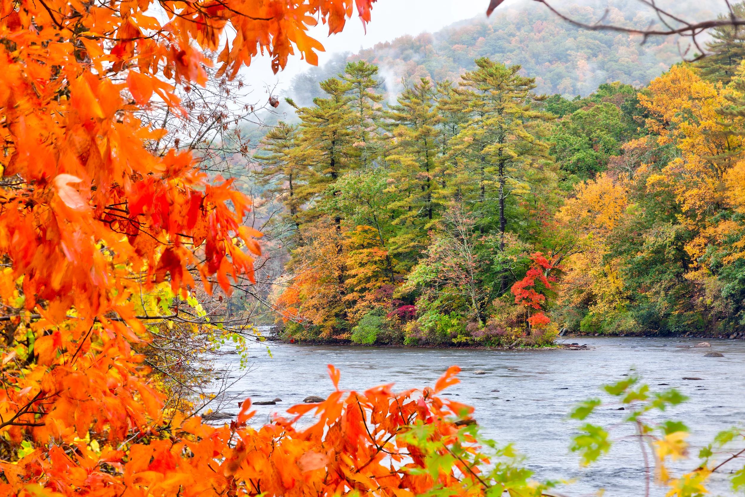 Autume Scenic River
