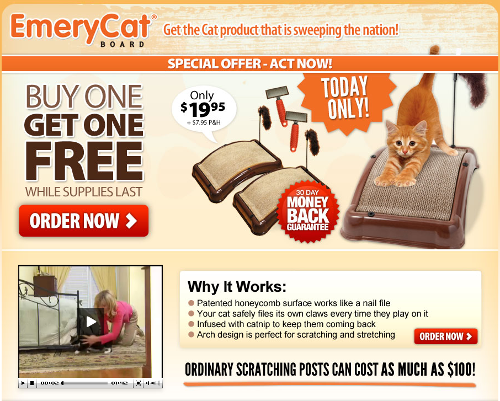 emery-cat-splash.png