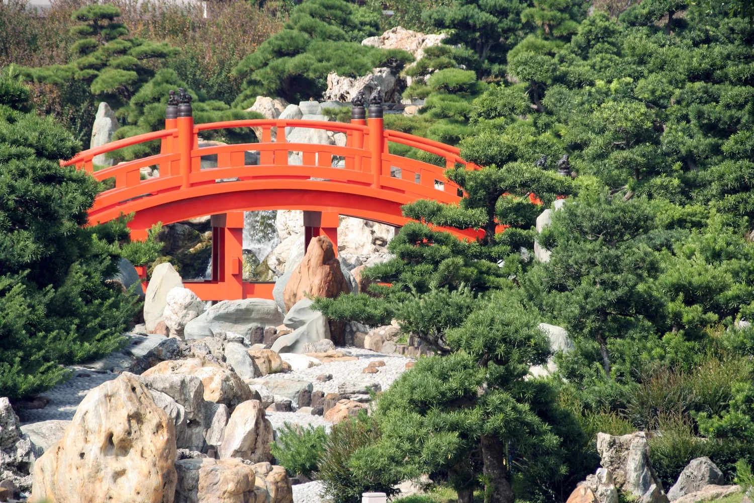 Arched Bridge in Japanese Garden
