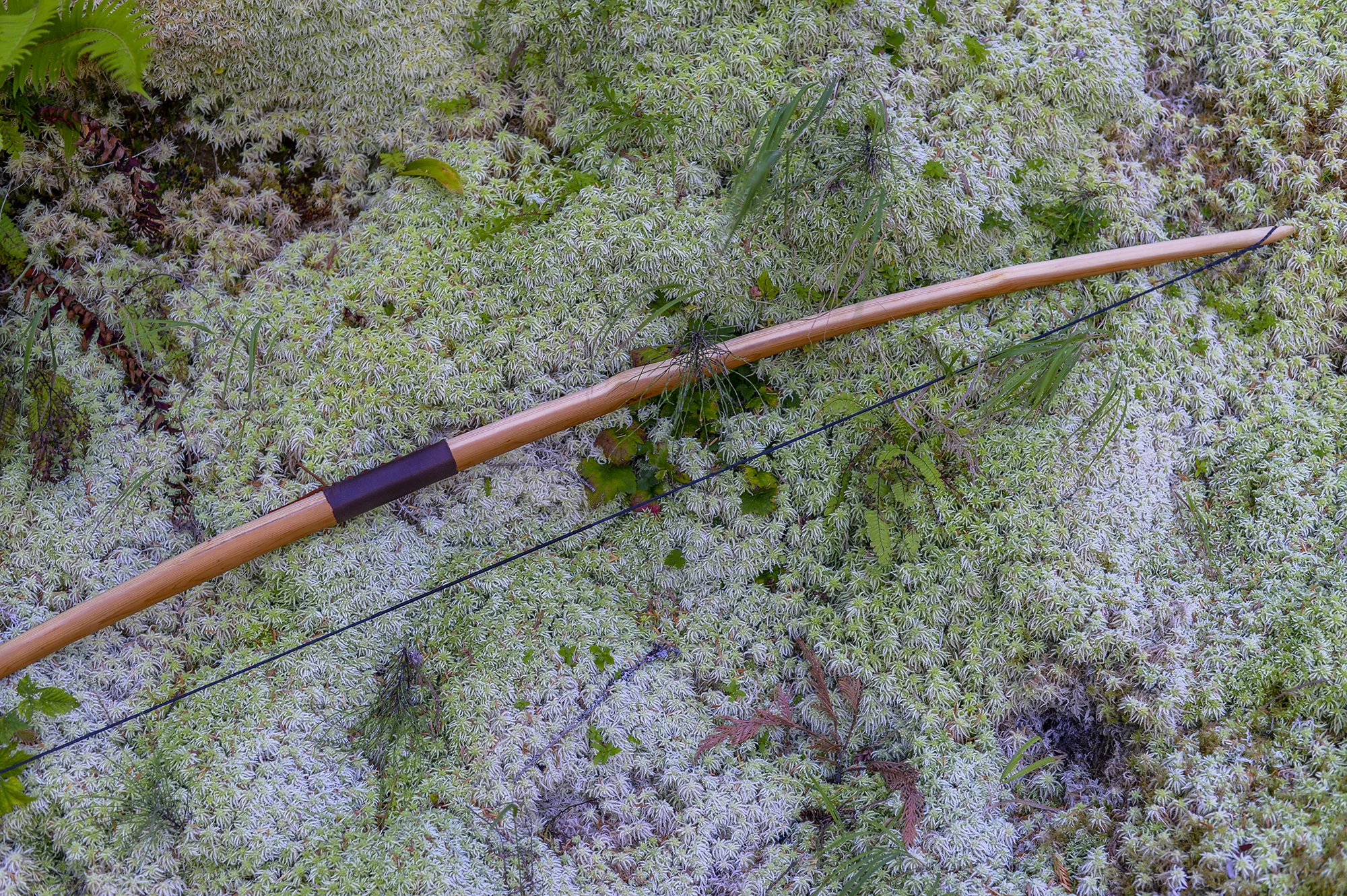 custom_yew_longbow.jpg