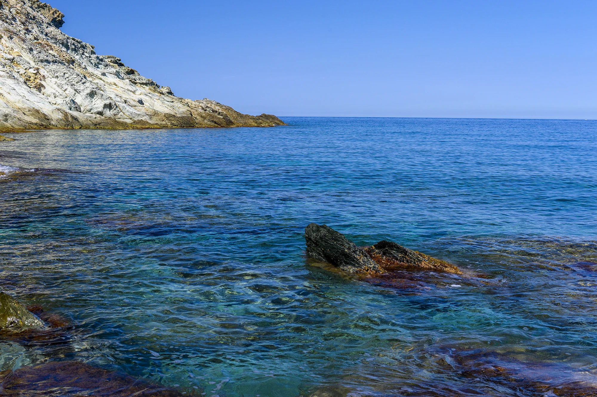 norskk_corsica.jpg