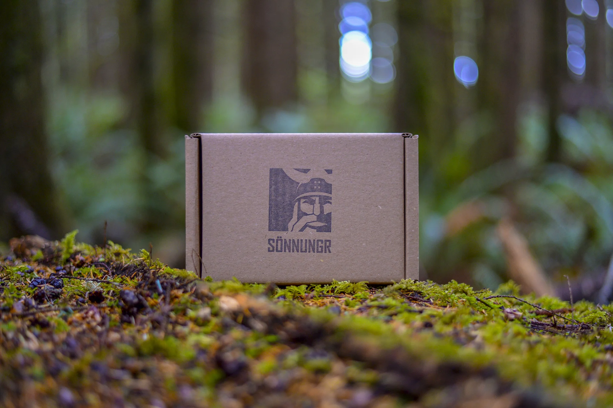 sonnungr_box.jpg