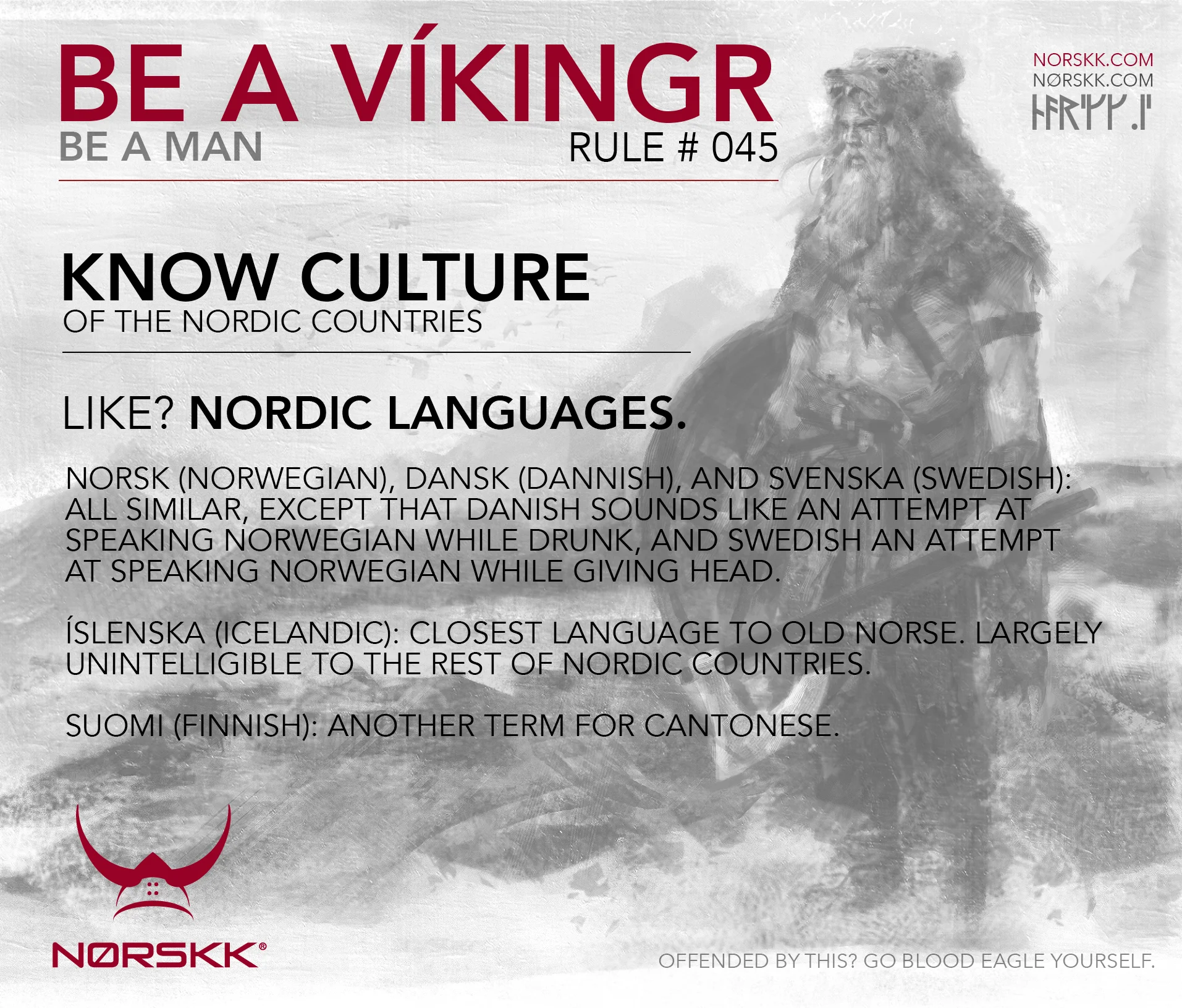 045_NordicLanguages.jpg