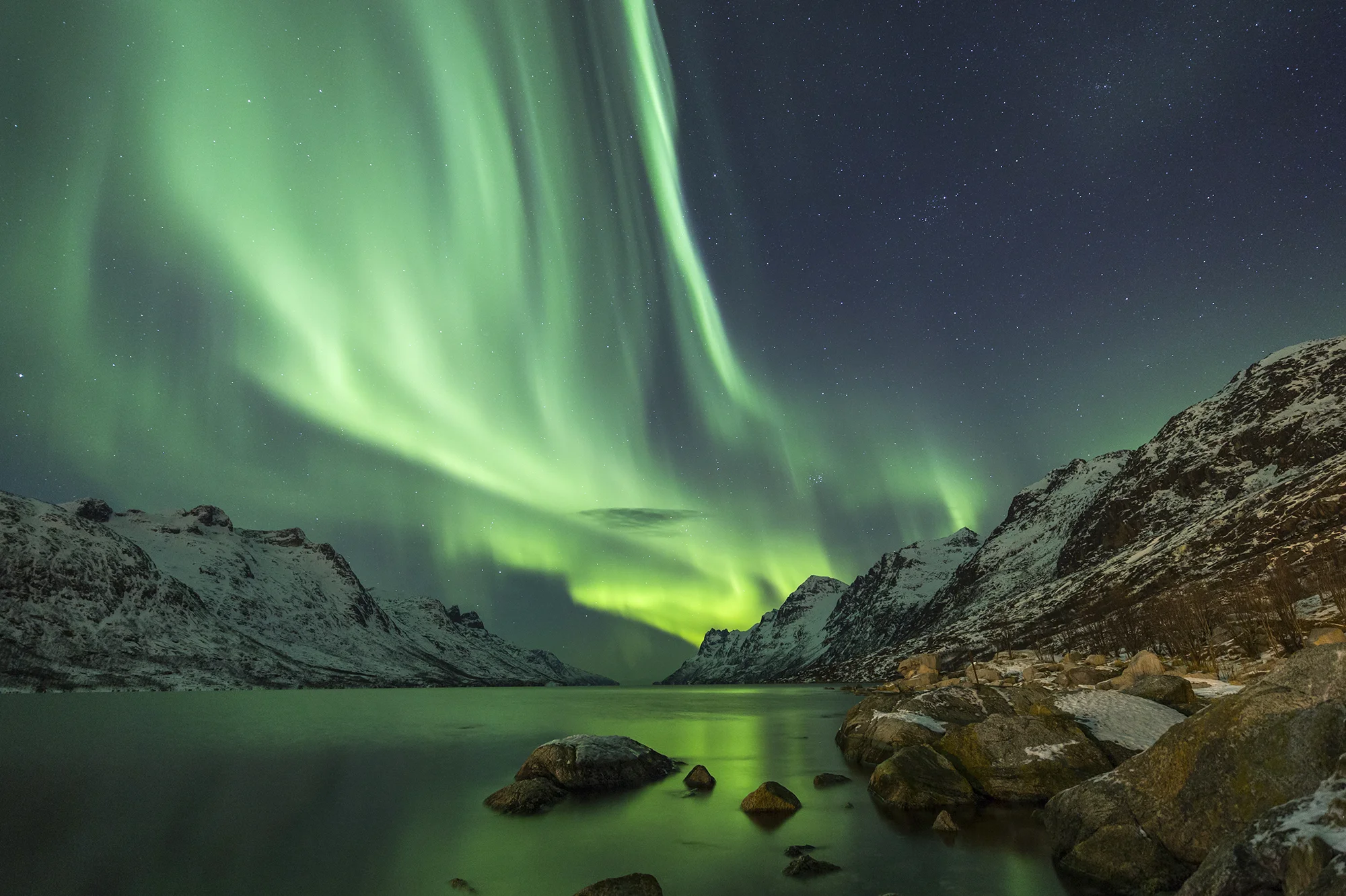 auroras.jpg