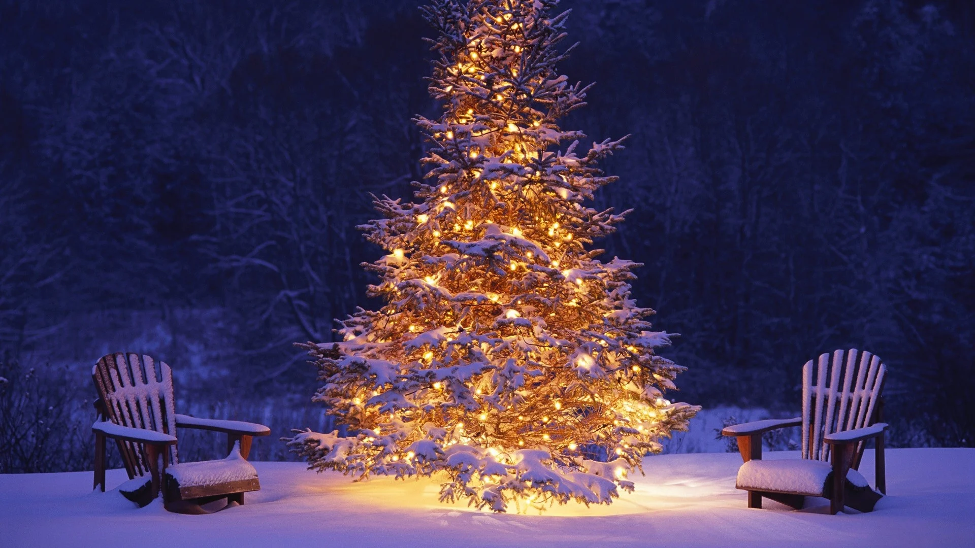 norse-yule-tree.jpg